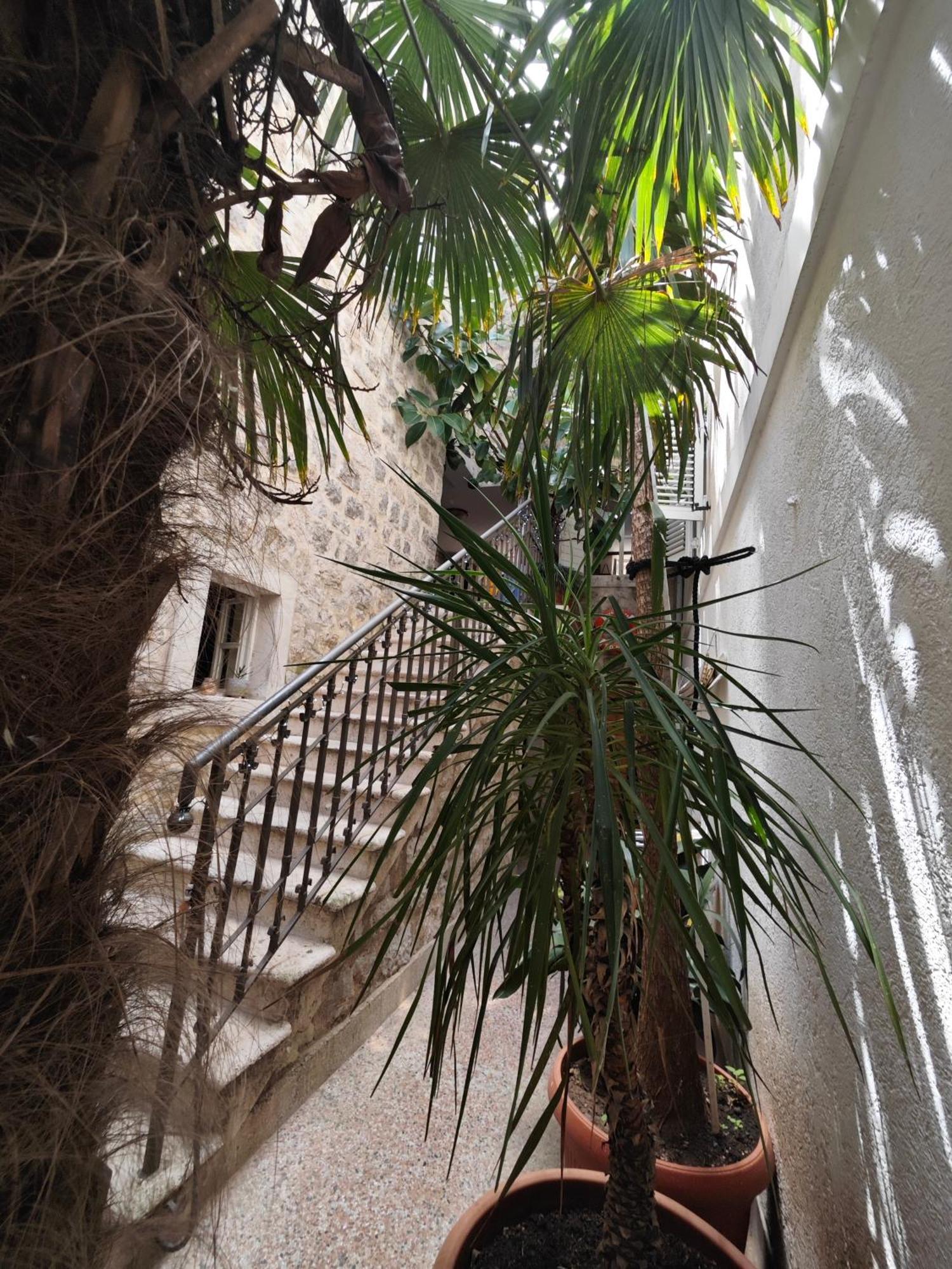 Guest house Beatrix Budva