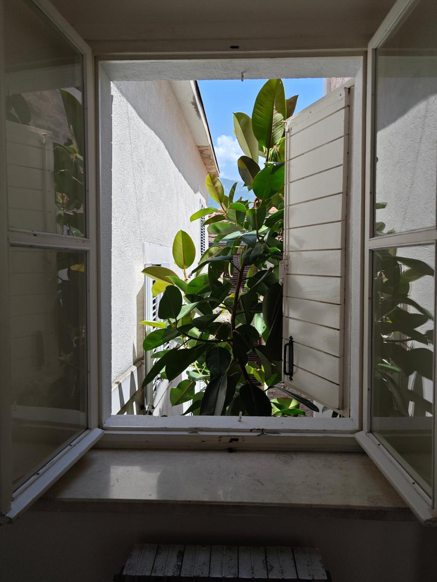 Guest house Beatrix